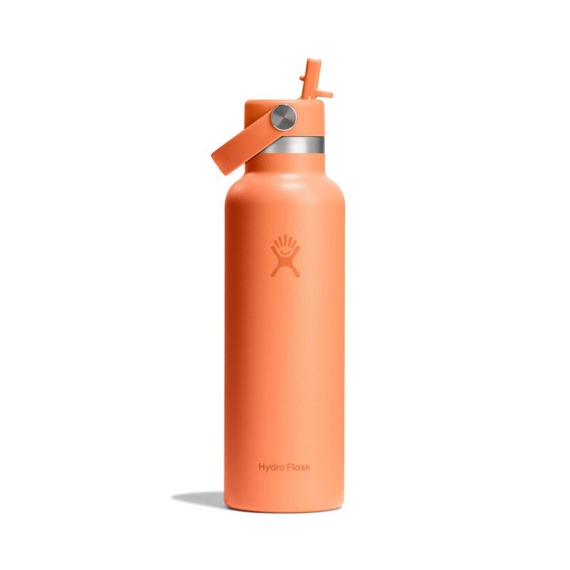 Hydro Flask 21oz (621ml) Standard Mouth Flex Straw Cap Bottle image number 0